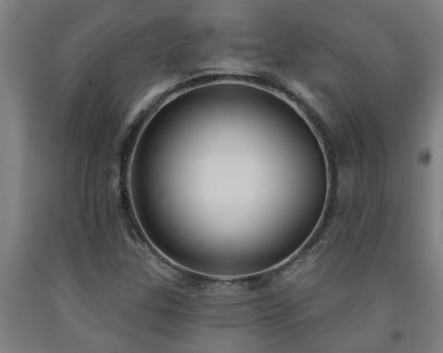 X0000093091307200709261220