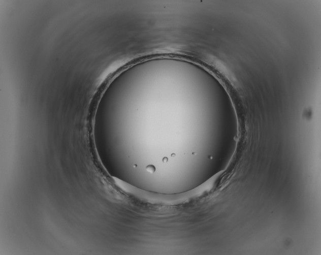 X0000093091308200709261220