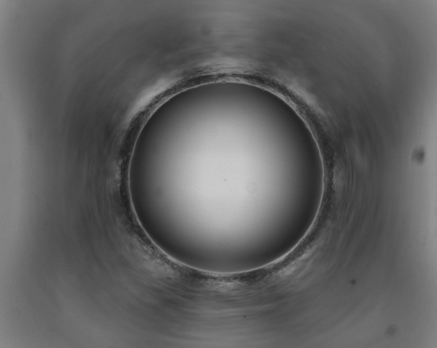 X0000093091309200709261220