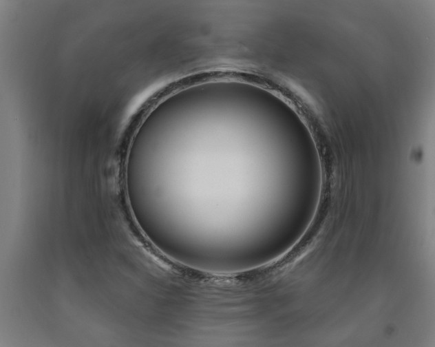 X0000093091310200709261220