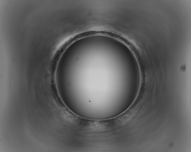 X0000093091311200709261220