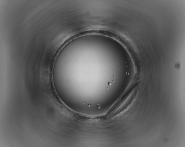 X0000093091313200709261220
