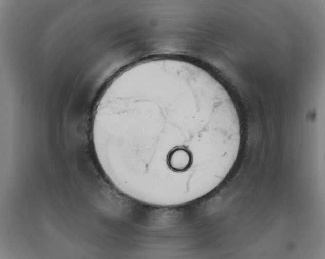 X0000093091314200709261220