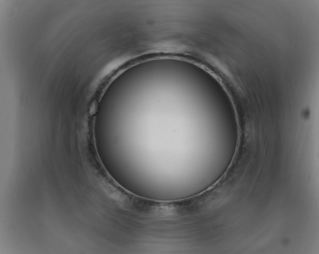 X0000093091315200709261220