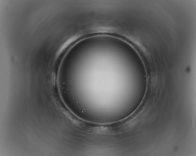 X0000093091317200709261220