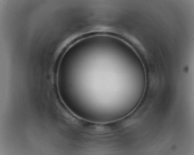 X0000093091318200709261220