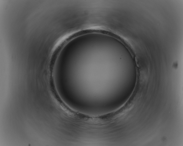 X0000093091319200709261220