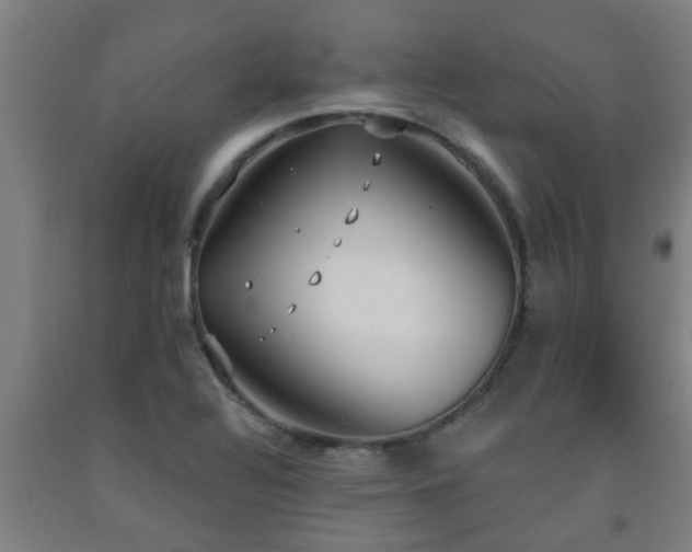 X0000093091320200709261220