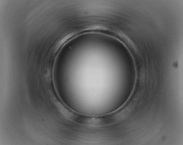 X0000093091321200709261220