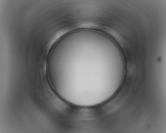 X0000093091322200709261220
