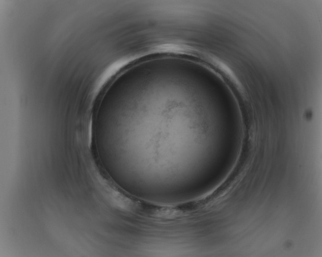 X0000093091323200709261220