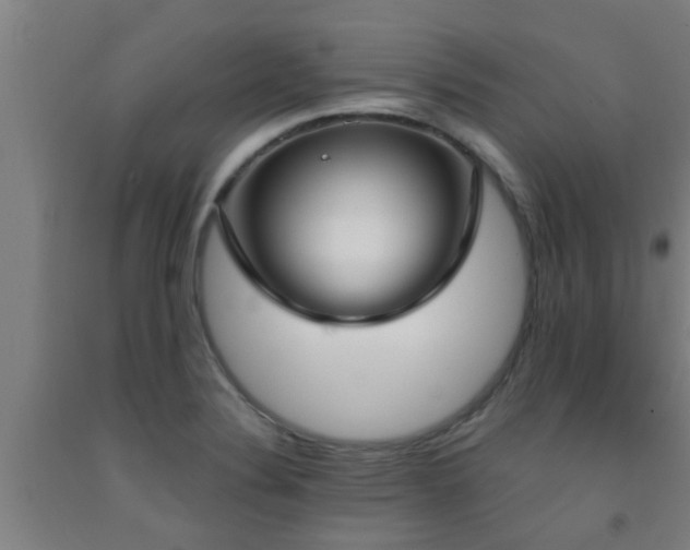 X0000093091324200709261220