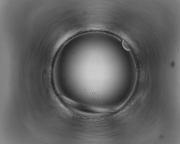 X0000093091325200709261221