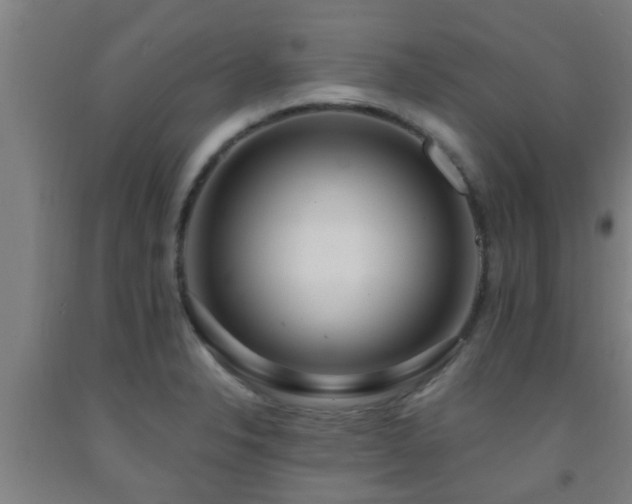 X0000093091326200709261221