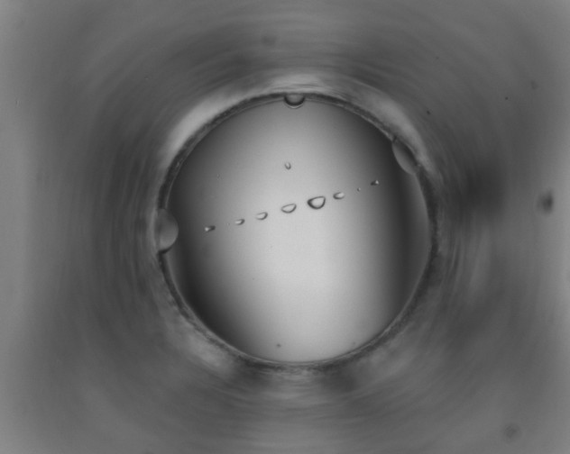 X0000093091328200709261221