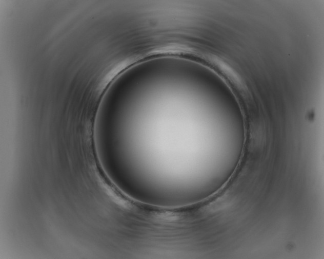X0000093091329200709261221