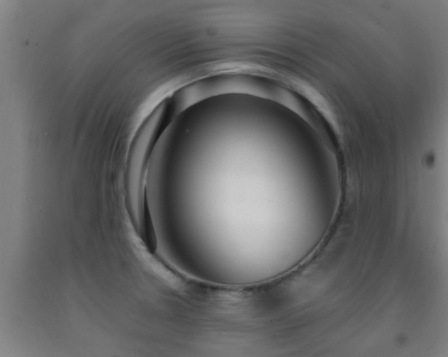 X0000093091330200709261221