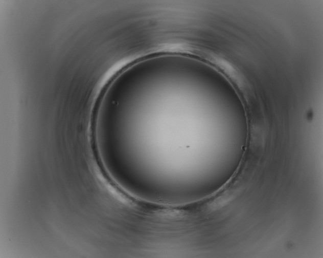 X0000093091331200709261221
