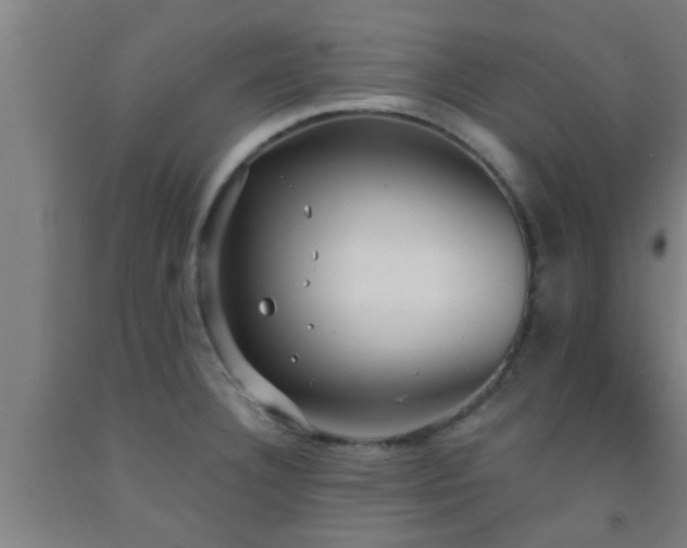 X0000093091332200709261221