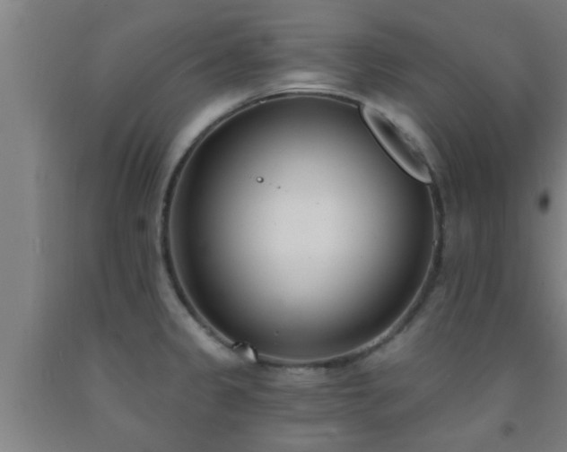 X0000093091333200709261221