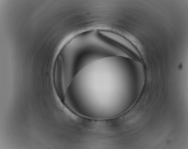 X0000093091334200709261221