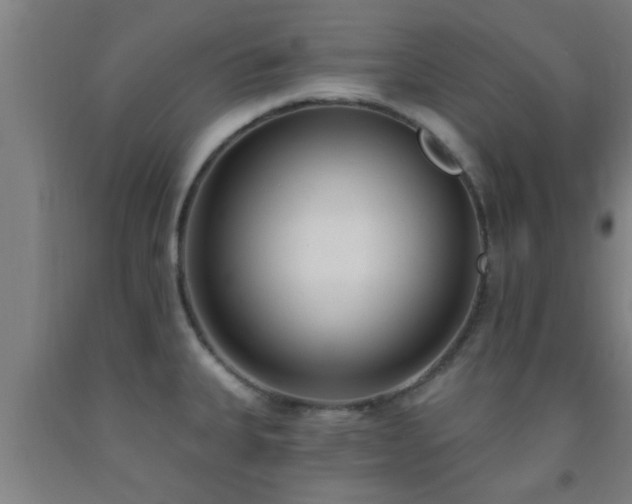 X0000093091335200709261221
