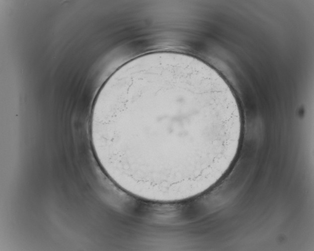 X0000093091338200709261221