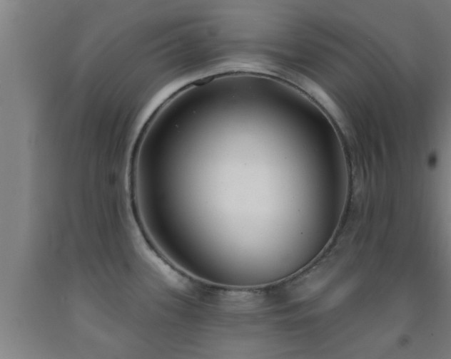 X0000093091339200709261221