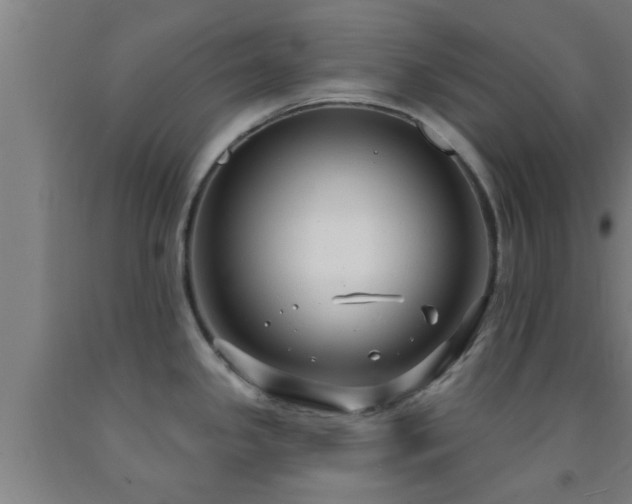 X0000093091341200709261221