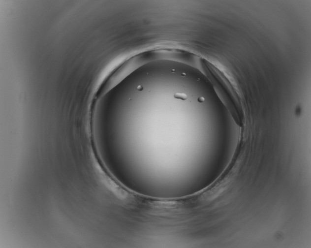 X0000093091342200709261221