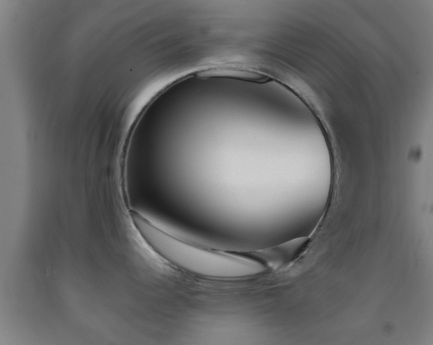 X0000093091344200709261221