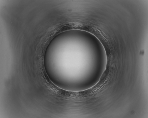 X0000093091345200709261220
