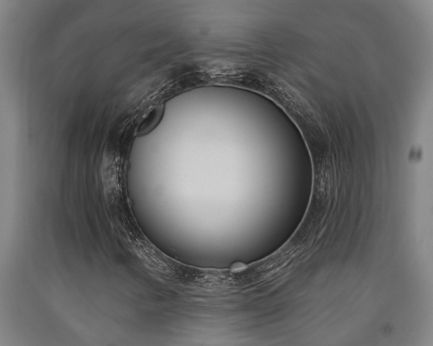 X0000093091346200709261220