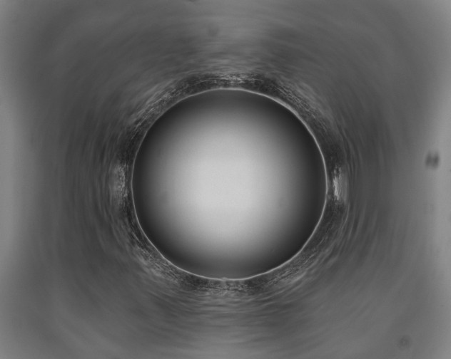 X0000093091347200709261220