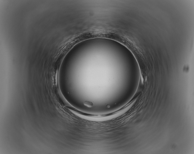 X0000093091348200709261220