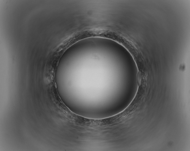 X0000093091349200709261220