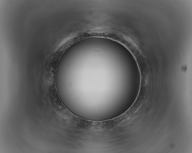 X0000093091350200709261220