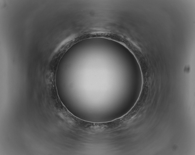 X0000093091351200709261220