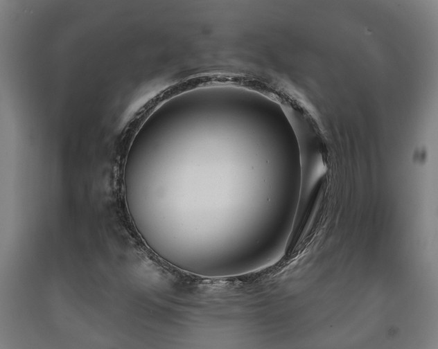 X0000093091352200709261220