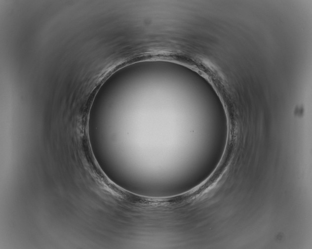 X0000093091353200709261220