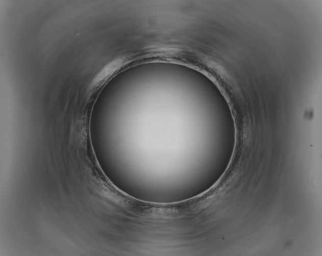 X0000093091354200709261220