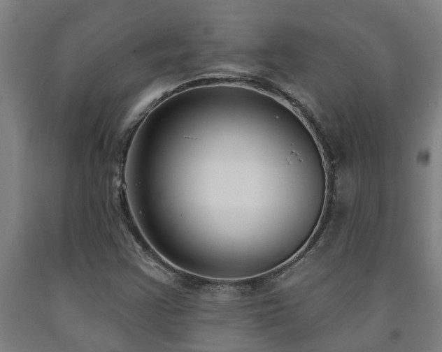 X0000093091355200709261220