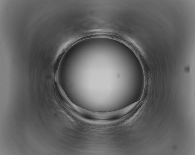 X0000093091357200709261220