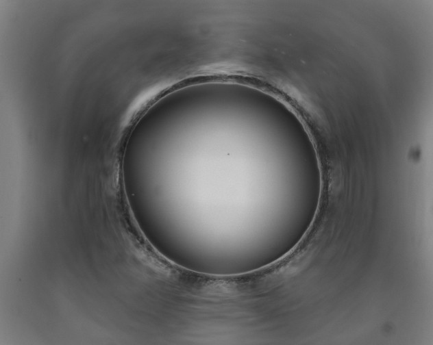 X0000093091358200709261220