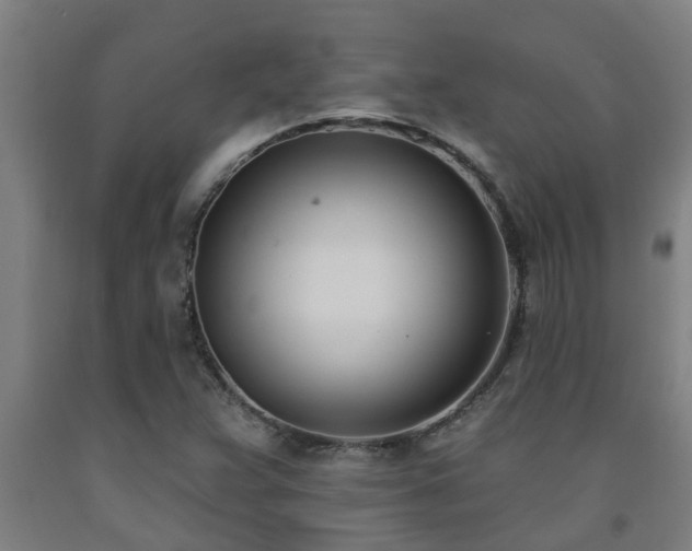 X0000093091359200709261220