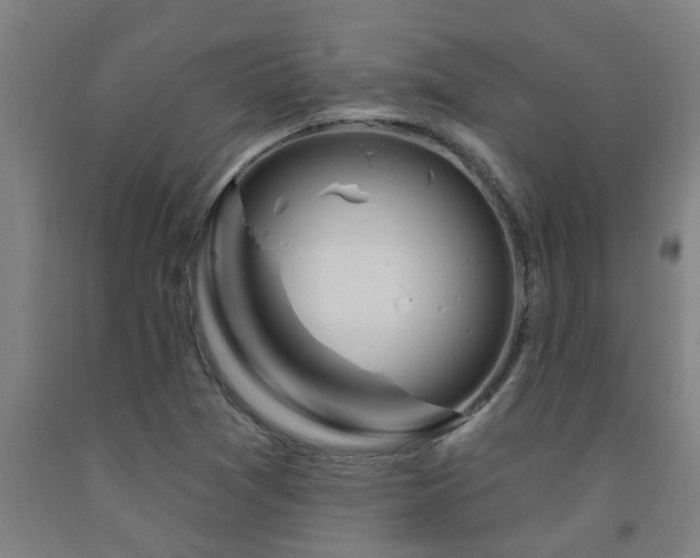 X0000093091361200709261220