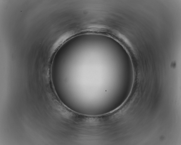 X0000093091362200709261220