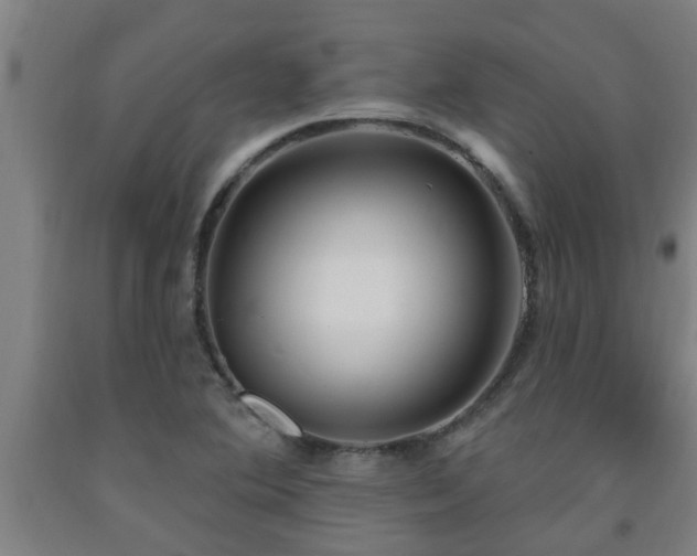 X0000093091364200709261220