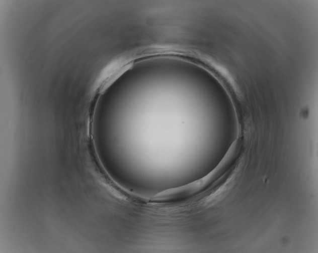 X0000093091365200709261220