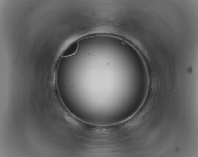 X0000093091366200709261220